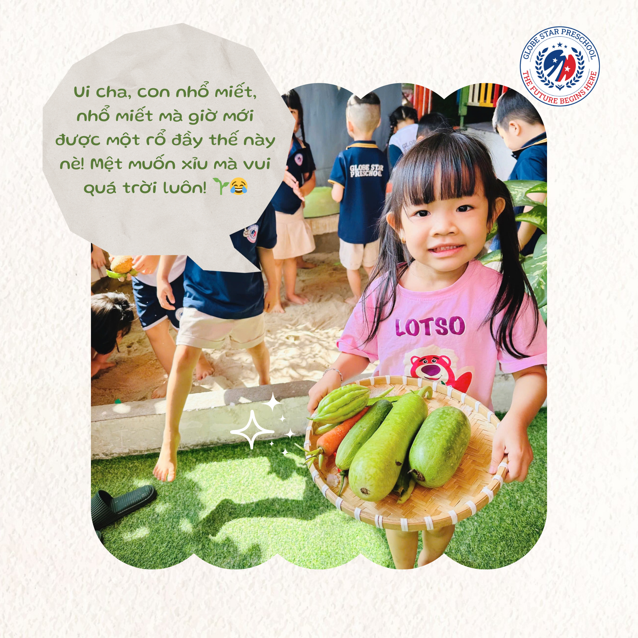 thu hoach rau cu qua